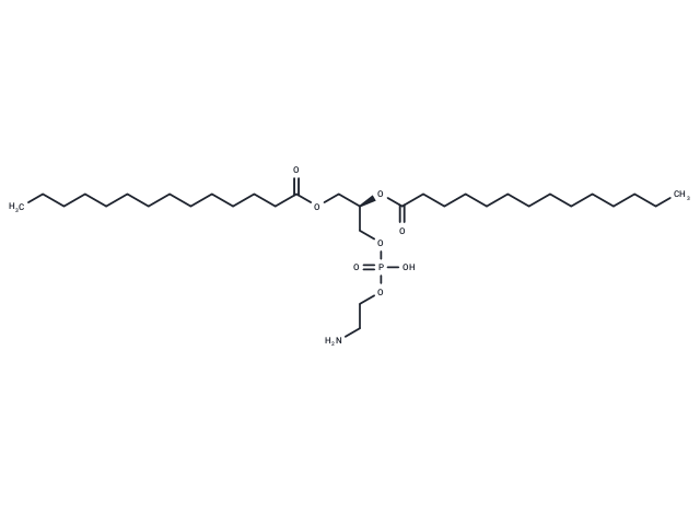 1,2-十四?；字Ｒ掖及?(2R)-3-(((2-Aminoethoxy)(hydroxy)phosphoryl)oxy)propane-1,2-diyl ditetradecanoate