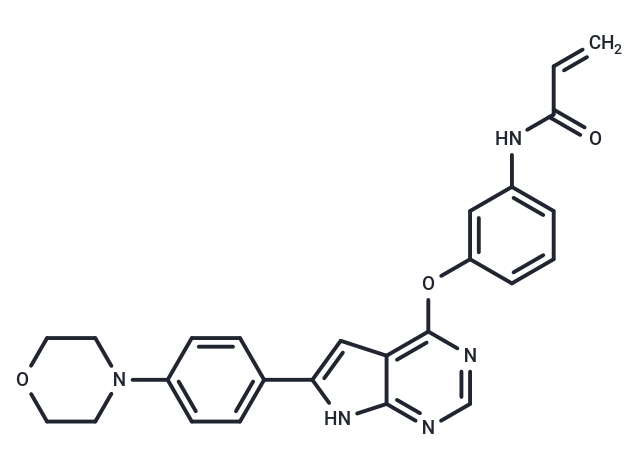 化合物 BTK inhibitor 10,BTK inhibitor 10