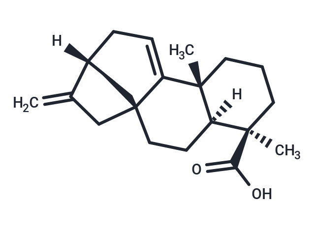 化合物 Grandiflorenic acid,Grandiflorenic acid