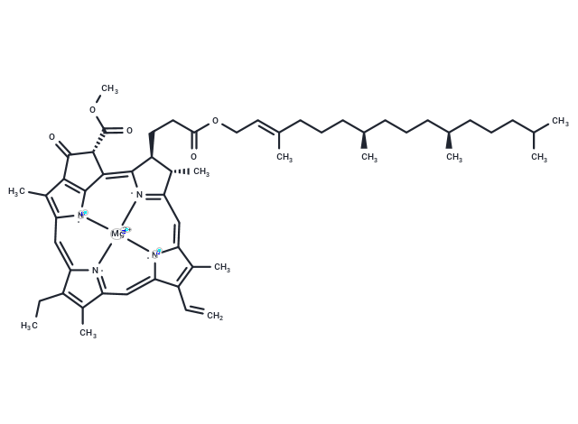 化合物 Chlorophyll a,Chlorophyll a