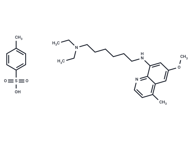 Sitamaquine (tosylate),Sitamaquine tosylate