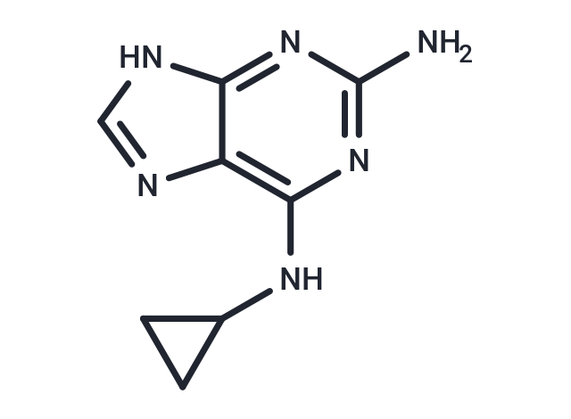 2-氨基-6-環(huán)丙基氨基-9H-嘌呤,2-Amino-6-cyclopropylamino-9H-purine