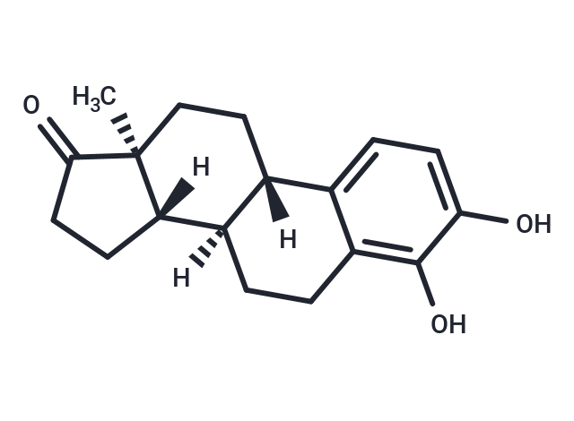 4-羥雌甾酮,4-Hydroxyestrone