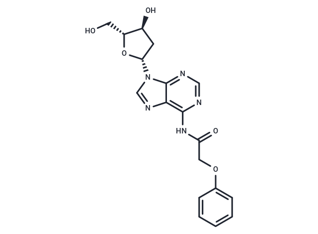 化合物 2’-Deoxy-N6-Phenoxyacetyladenosine,2’-Deoxy-N6-Phenoxyacetyladenosine