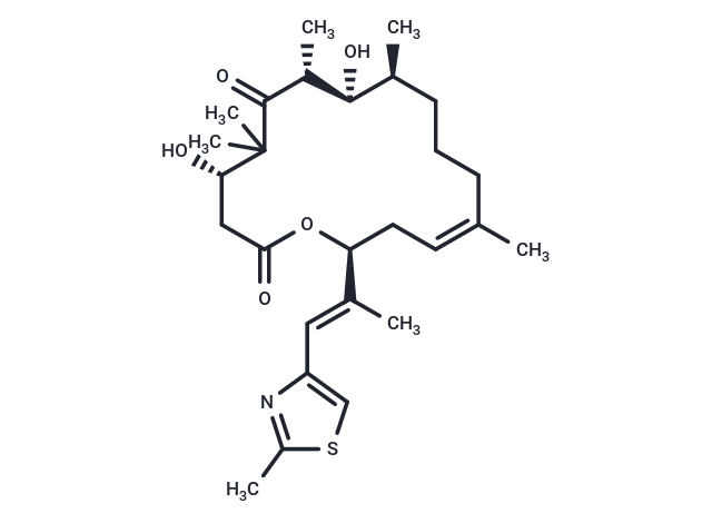 埃博霉素,Epothilone D