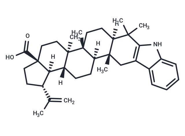 2,3-Indolobetulonic Acid,2,3-Indolobetulonic Acid