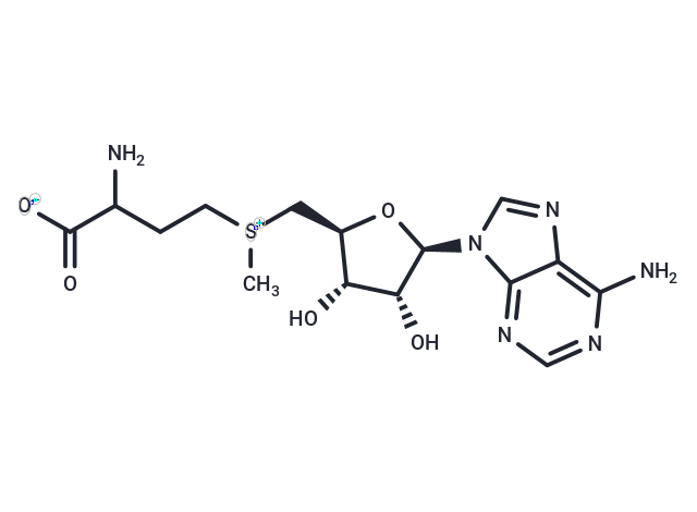 S-腺苷蛋氨酸,S-Adenosyl-DL-Methionine