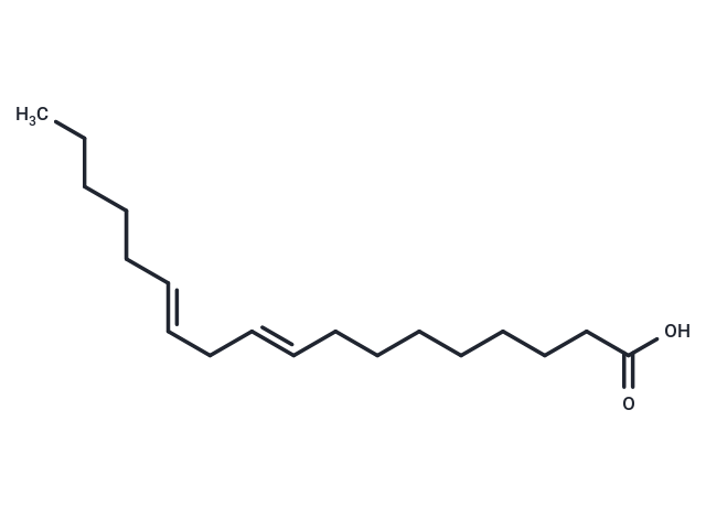 亞麻酸,Linolelaidic acid