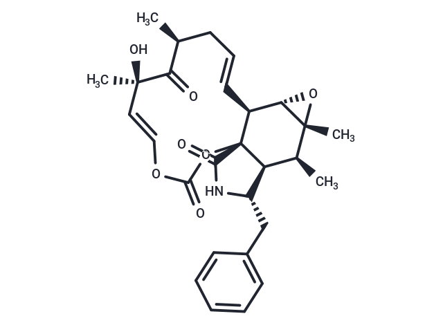 細胞松弛素E,Cytochalasin E