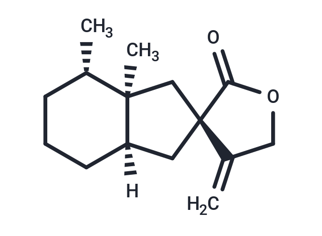 蜂斗菜內(nèi)酯A,Bakkenolide A