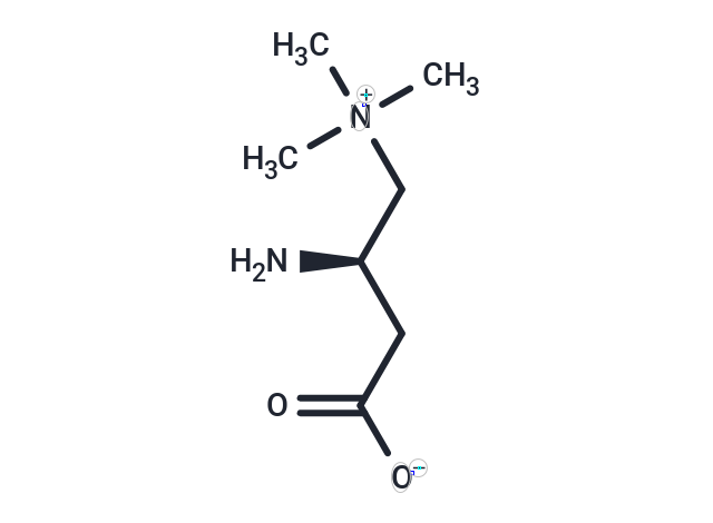 化合物 Aminocarnitine,Aminocarnitine