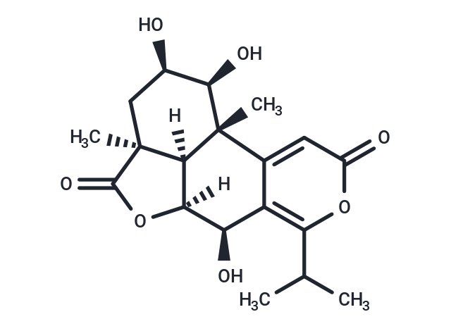 竹柏內酯 B,Nagilactone B