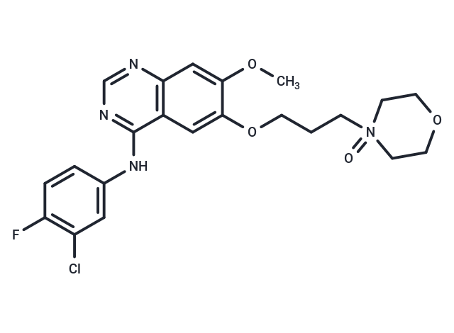 化合物 Gefitinib N-oxide,Gefitinib N-oxide