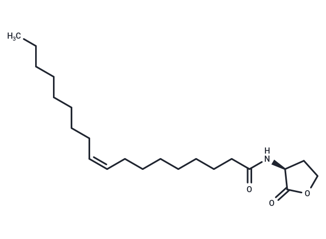 N-cis-octadec-9Z-enoyl-L-Homoserine lactone,N-cis-octadec-9Z-enoyl-L-Homoserine lactone