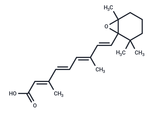 all-trans-5,6-epoxy Retinoic Acid,all-trans-5,6-epoxy Retinoic Acid