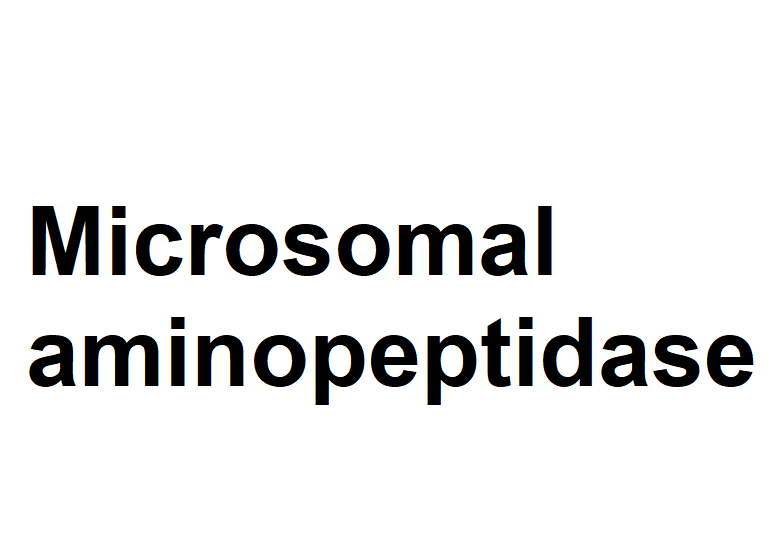 亮氨酸氨肽酶,Aminopeptidase M