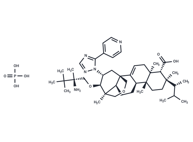 化合物 SCY-078 phosphate,SCY-078 phosphate