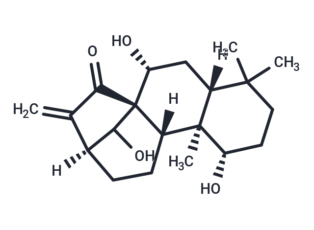 尾葉香茶菜戊素,Kamebanin