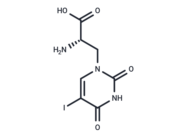 化合物 (S)-(-)-5-Iodowillardiine,(S)-(-)-5-Iodowillardiine