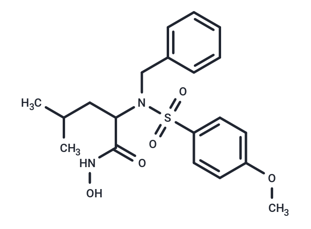 化合物 MMP-3 Inhibitor VIII,MMP-3 Inhibitor VIII