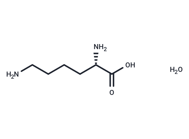 化合物 Lysine monohydrate,Lysine monohydrate