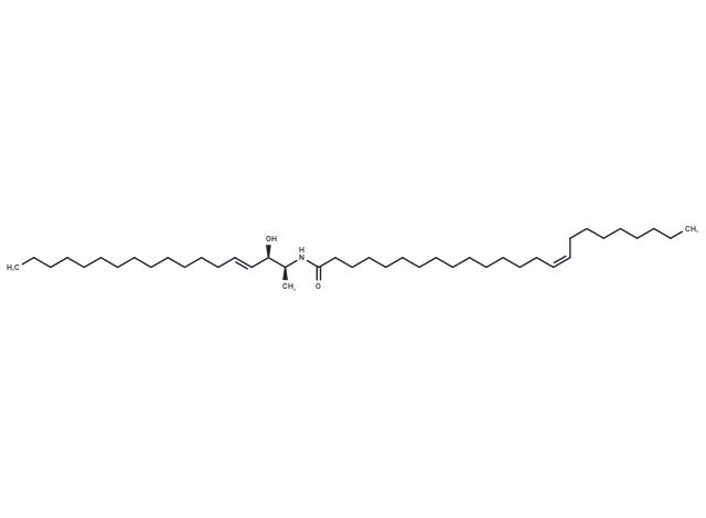 化合物 C24:1 1-Deoxyceramide (m18:1/24:1(15Z)),C24:1 1-Deoxyceramide (m18:1/24:1(15Z))