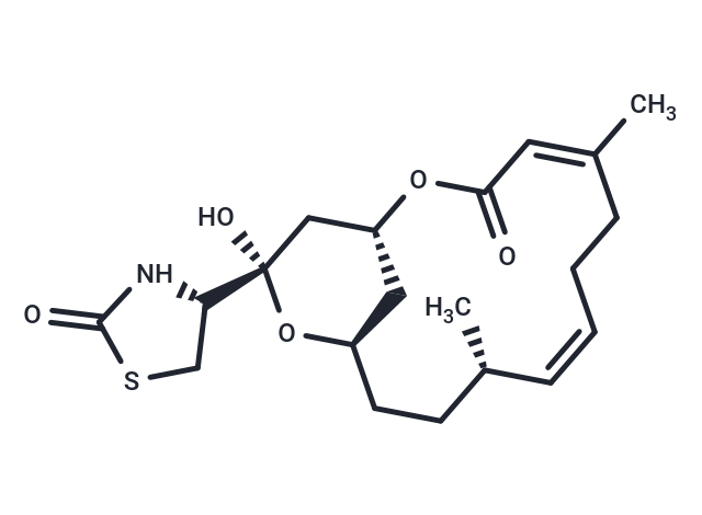 紅海海綿素 B,Latrunculin B