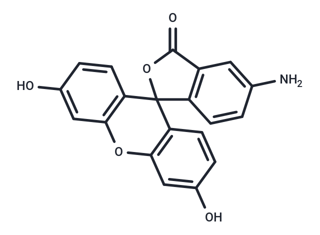 5-氨基熒光素,5-Aminofluorescein