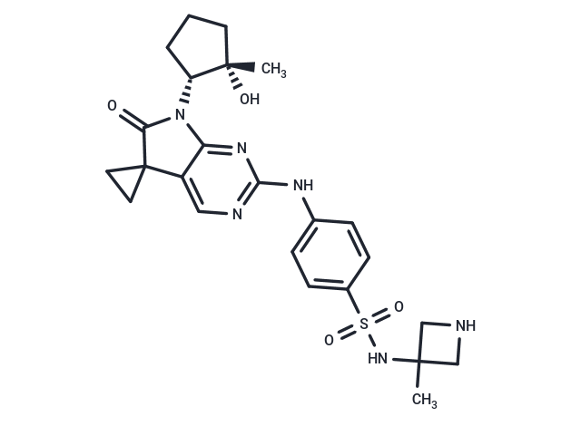 CDK2-IN-7,CDK2-IN-7