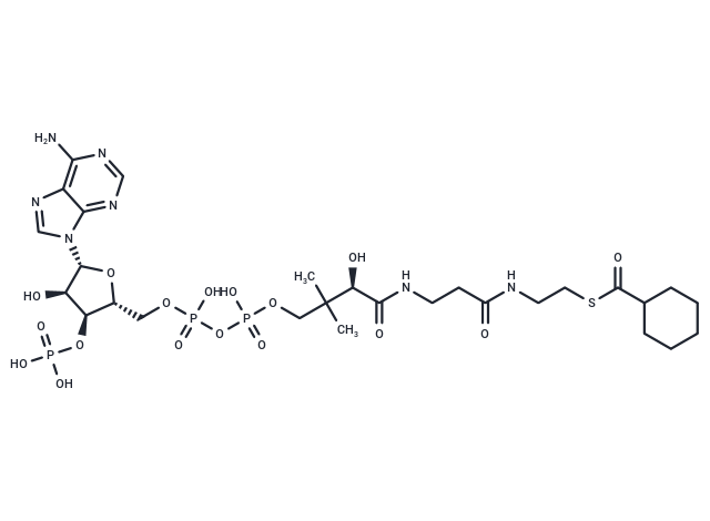 Cyclohexanoyl Coenzyme A,Cyclohexanoyl Coenzyme A