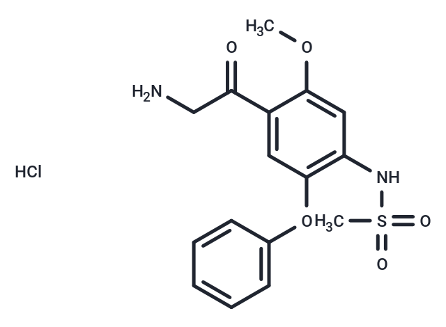 化合物 N-(4-(2-Aminoacetyl)-5-methoxy-2-phenoxyphenyl)methanesulfonamide hydrochloride,N-(4-(2-Aminoacetyl)-5-methoxy-2-phenoxyphenyl)methanesulfonamide hydrochloride