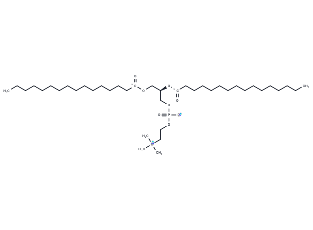 1,2-Dipalmitoyl-13C-sn-glycero-3-PC,1,2-Dipalmitoyl-13C-sn-glycero-3-PC