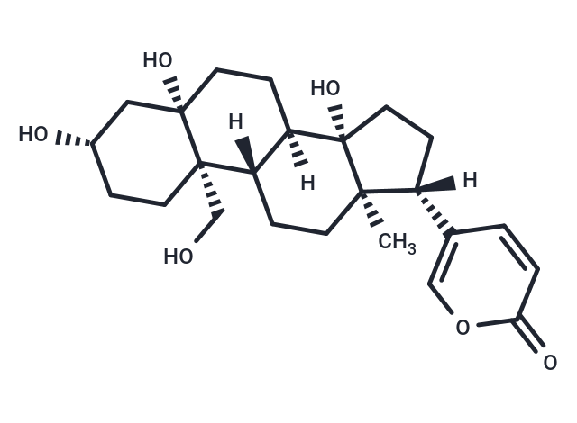 嚏根草醇,Hellebrigenol