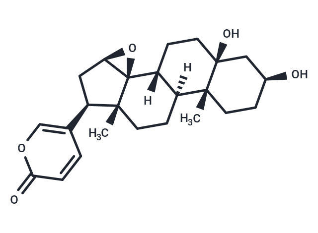 南美蟾毒精,Marinobufogenin