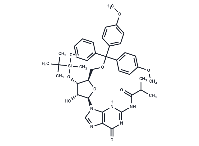 5'-DMT-3'-TBDMS-ibu-rG,5'-DMT-3'-TBDMS-ibu-rG