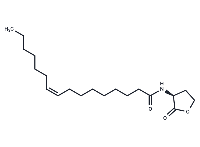 N-cis-hexadec-9Z-enoyl-L-Homoserine lactone,N-cis-hexadec-9Z-enoyl-L-Homoserine lactone