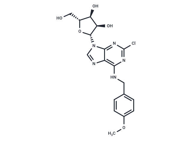 化合物 2’-Chloro-N6-(4-methoxy)benzyl ? adenosine,2’-Chloro-N6-(4-methoxy)benzyl ? adenosine