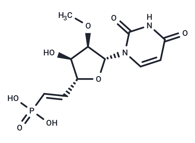 化合物 1-[(5E)-5,6-Dideoxy-6-phosphono-2-O-methyl-β-D-ribo-hex-5-enofuranosyl)uracil,1-[(5E)-5,6-Dideoxy-6-phosphono-2-O-methyl-β-D-ribo-hex-5-enofuranosyl)uracil