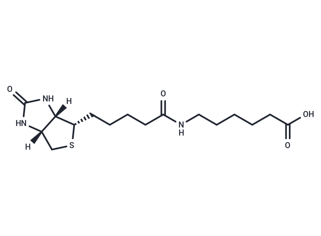 N-生物素己酸,N-Biotinyl-6-aminohexanoic acid