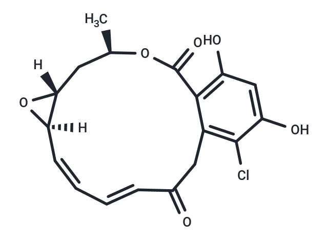 根赤殼菌素,Radicicol