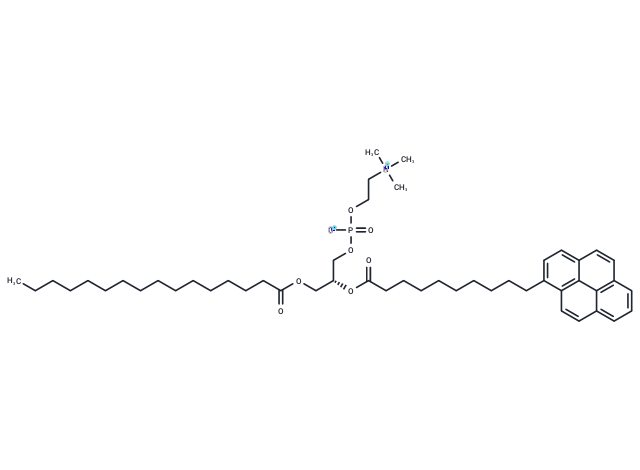 10-Pyrene-PC,10-Pyrene-PC