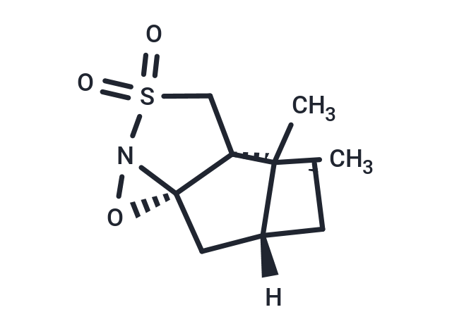 化合物 (1S)-(+)-(10-Camphorsulfonyl)oxaziridine,(1S)-(+)-(10-Camphorsulfonyl)oxaziridine