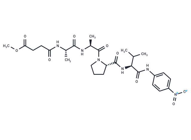 MeOSuc-AAPV-pNA,MeOSuc-AAPV-pNA