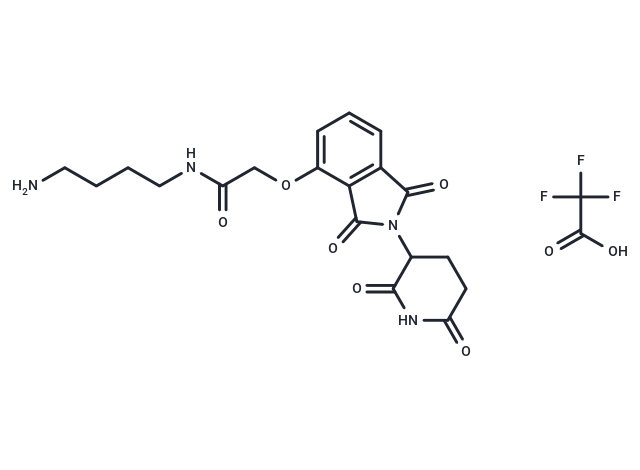 化合物T7759,Thalidomide-O-amido-C4-NH2 TFA