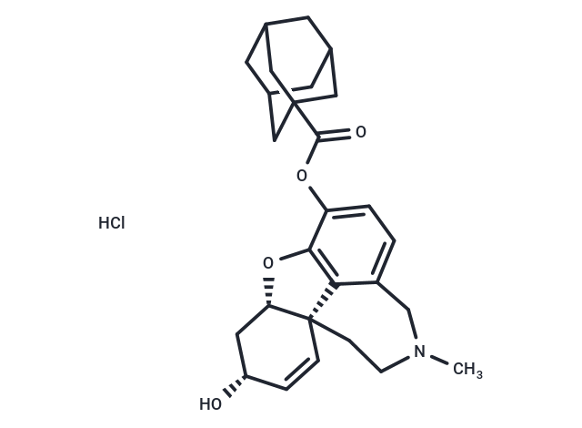 P11149,P11149