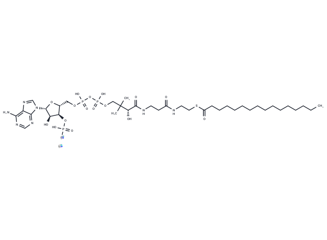 Palmitoyl CoA 鋰鹽,Palmitoyl CoA lithium