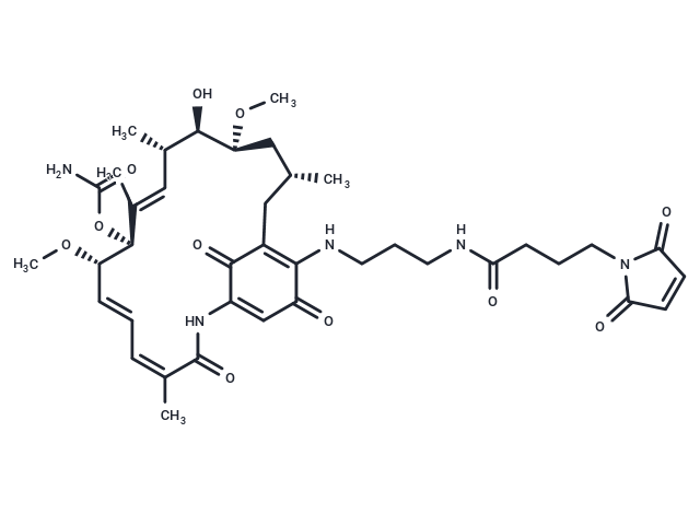 17-GMB-APA-GA,17-GMB-APA-GA