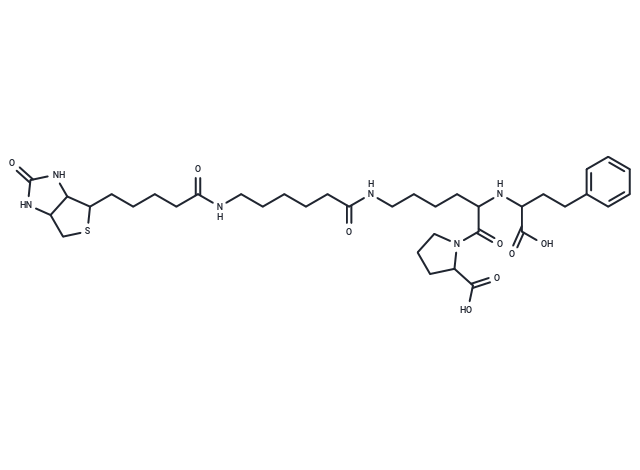 化合物 Lisinopril, epsilon-biotinamidocaproyl-,Lisinopril, epsilon-biotinamidocaproyl-