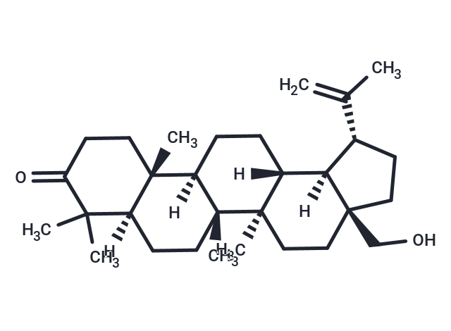 化合物Betulone,3-Oxobetulin