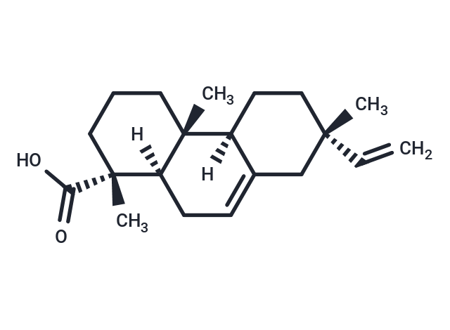 化合物 Isopimaric acid,Isopimaric acid